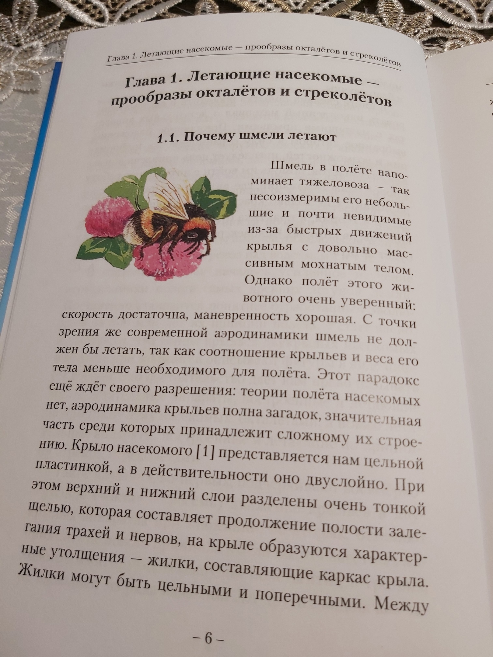 Проблема в том, что пчелы и шмели — вовсе не самолеты.